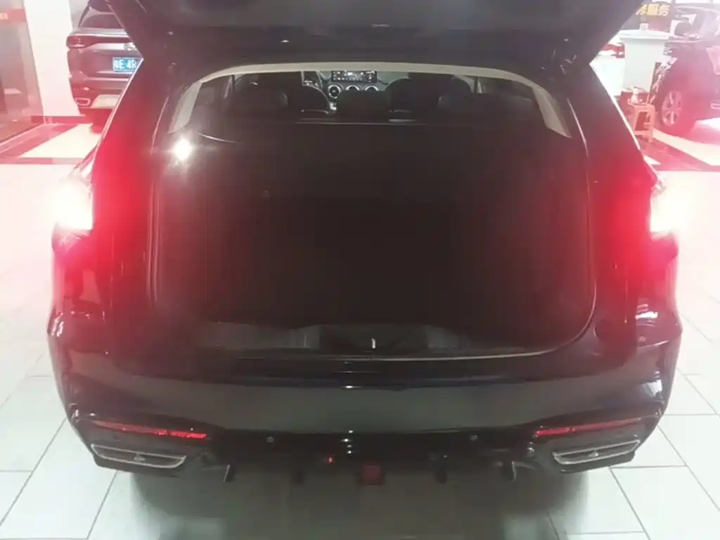 WEY VV7 2020 2020 2.0T Super Luxury
