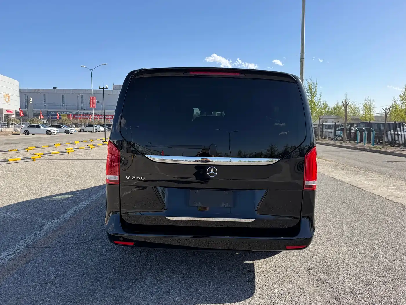 Mercedes-Benz V-Class 2018 V 260 Premium Edition China VI фото 6