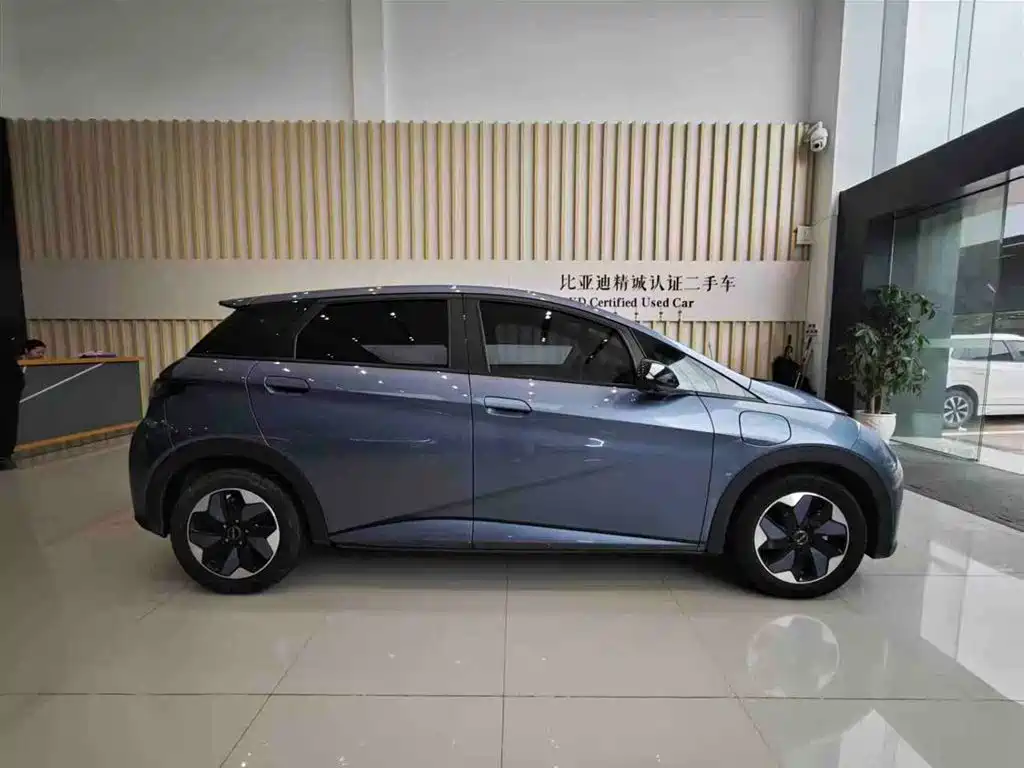 BYD Dolphin 2024 Glory Edition 420km Fashion Edition фото 4