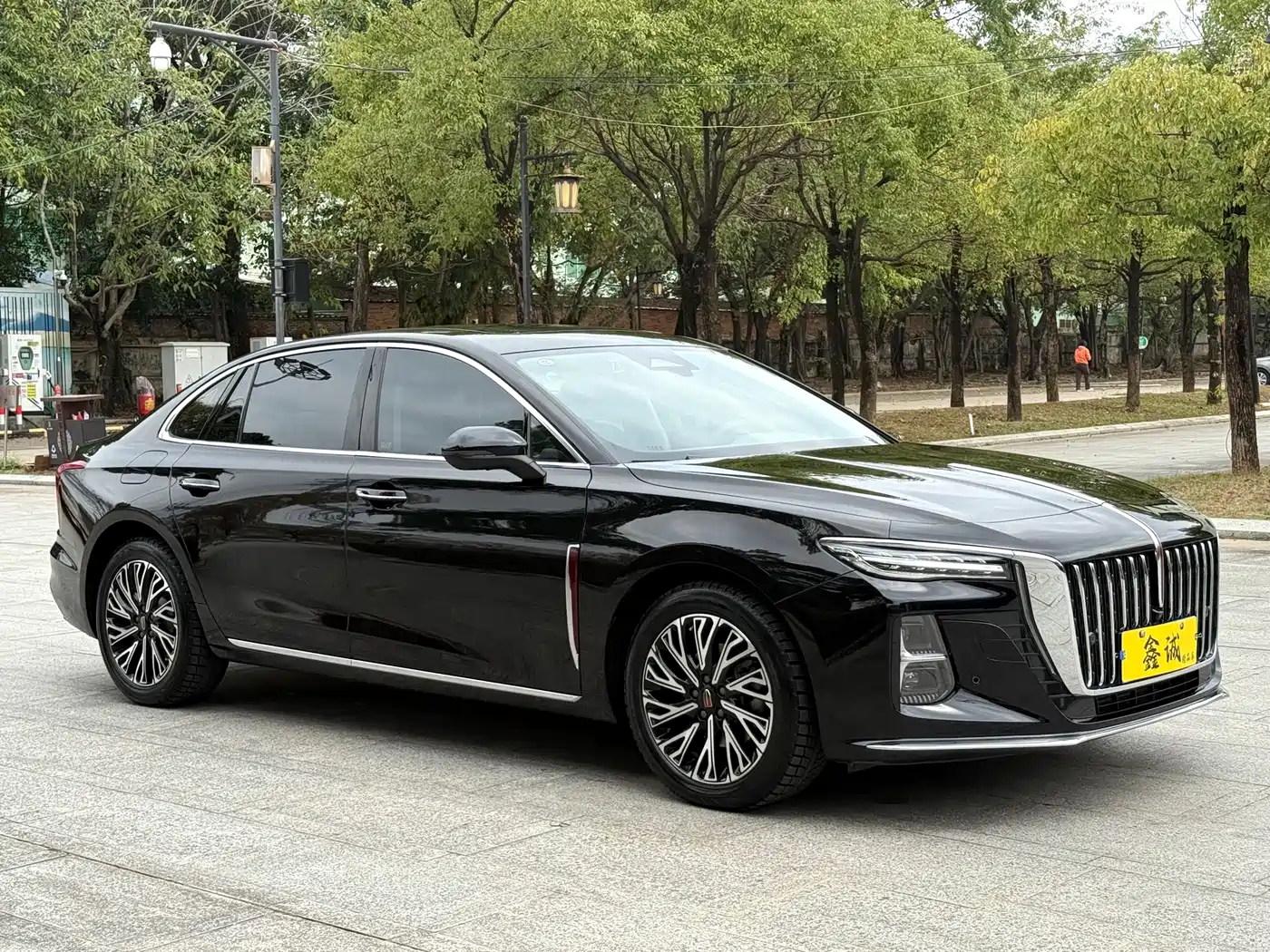 Hongqi H5 2025 2.0T Automatic Flag Celebration 500,000 Units Anniversary Edition фото 2