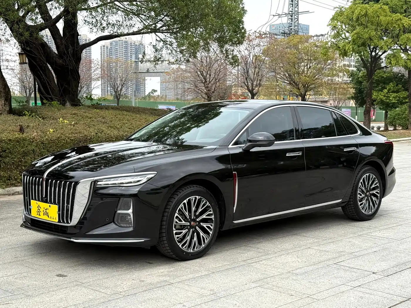 Hongqi H5 2025 2.0T Automatic Flag Celebration 500,000 Units Anniversary Edition