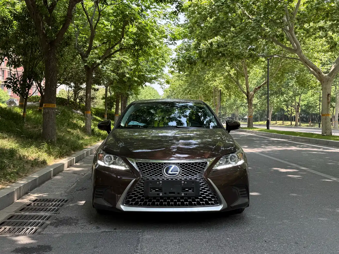 Lexus CT 2017 CT200h Elite Edition Monochrome China V фото 2