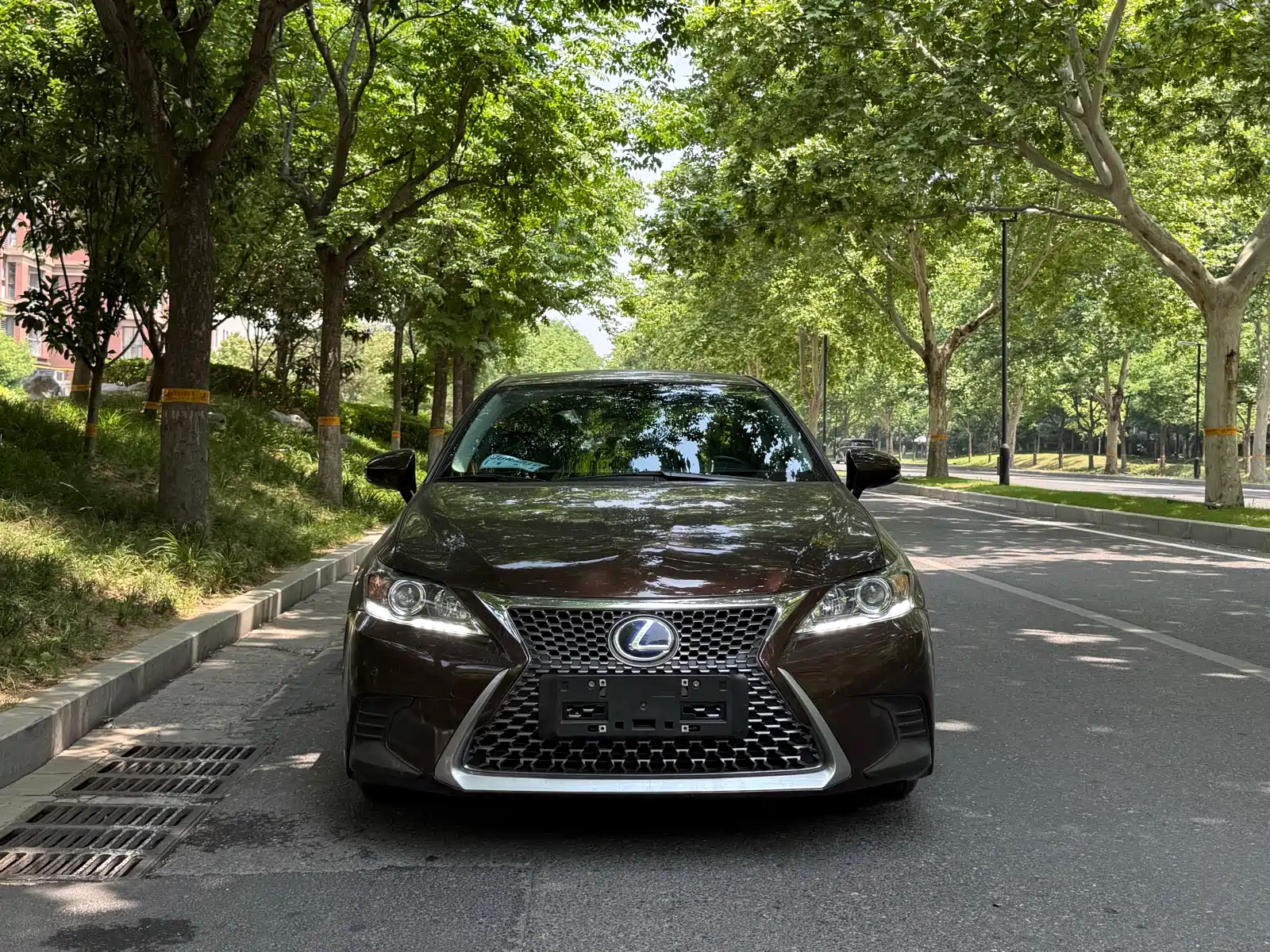 Фото 2 - Lexus CT