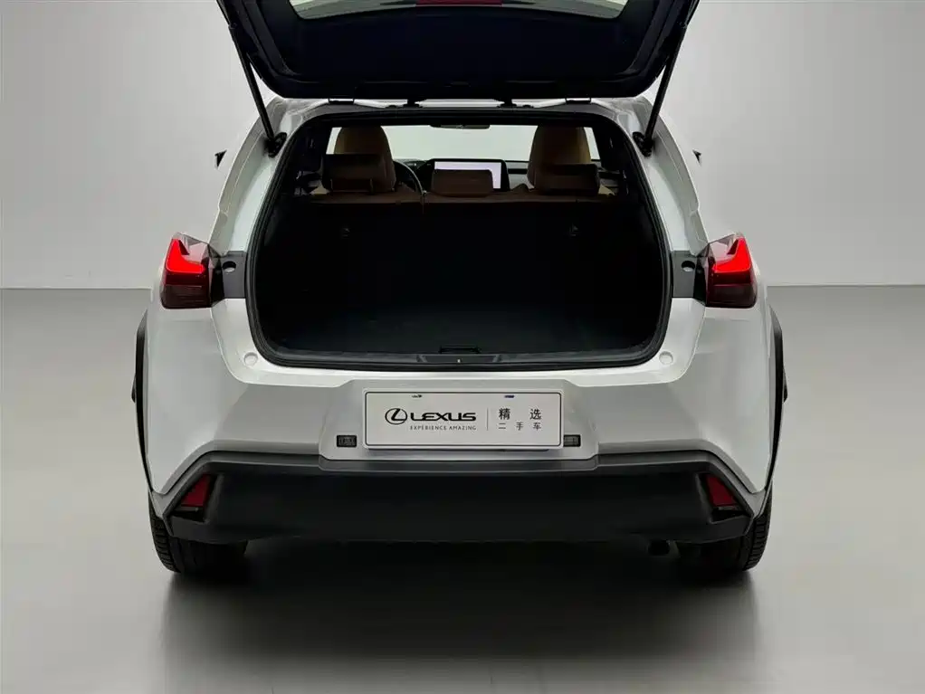 Lexus UX 2020 260h Explore Cool Edition China V фото 16