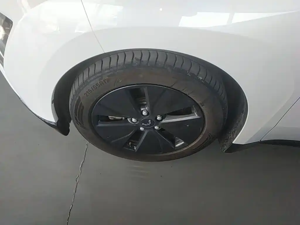 صورة 23 - Wuling Motors Wuling Xingguang
