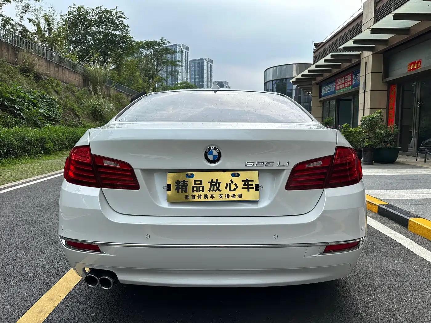BMW 5 Series 2014 525Li Luxury Design Package фото 6