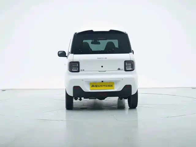 Фото 6 - Geely Galaxy Panda