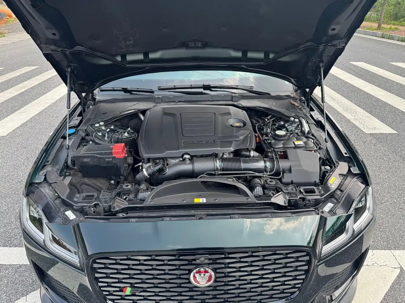JAGUAR XFL