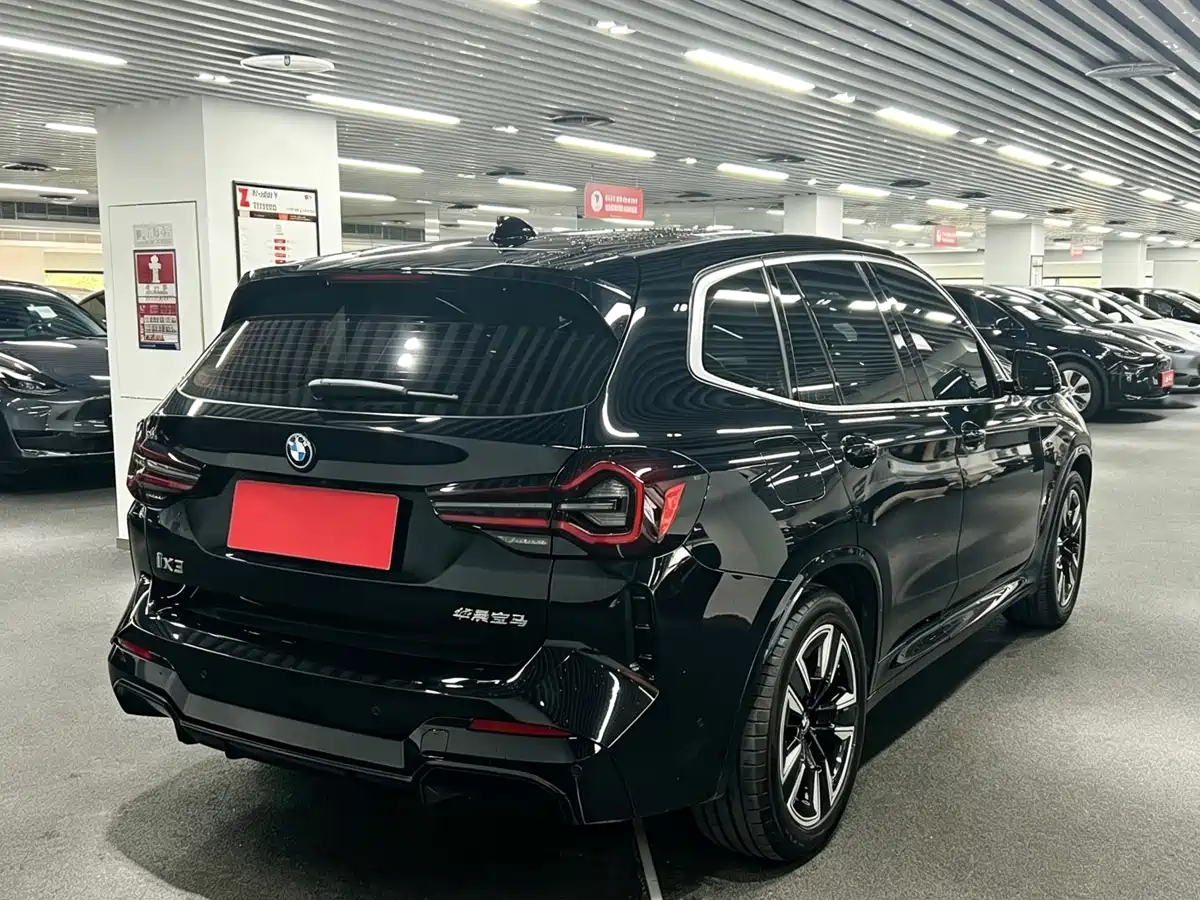 BMW iX3 2022 Leading Edition фото 4