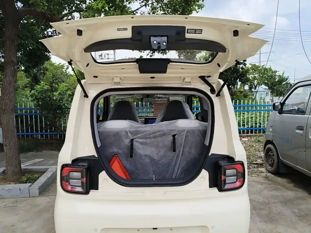 Geely Galaxy Panda 2026 2025 Panda mini 210km Vitality Bear