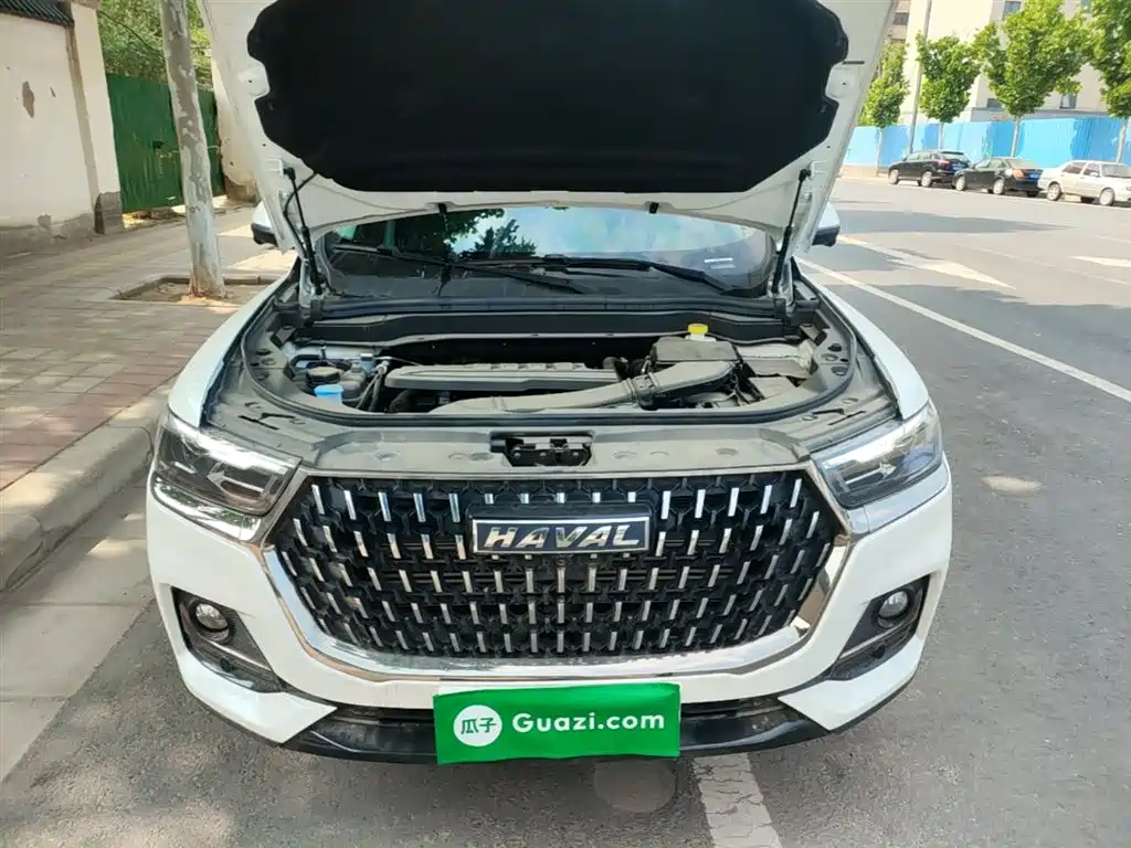 Haval H6 2023 National Trend Edition 1.5T Automatic Urban фото 20