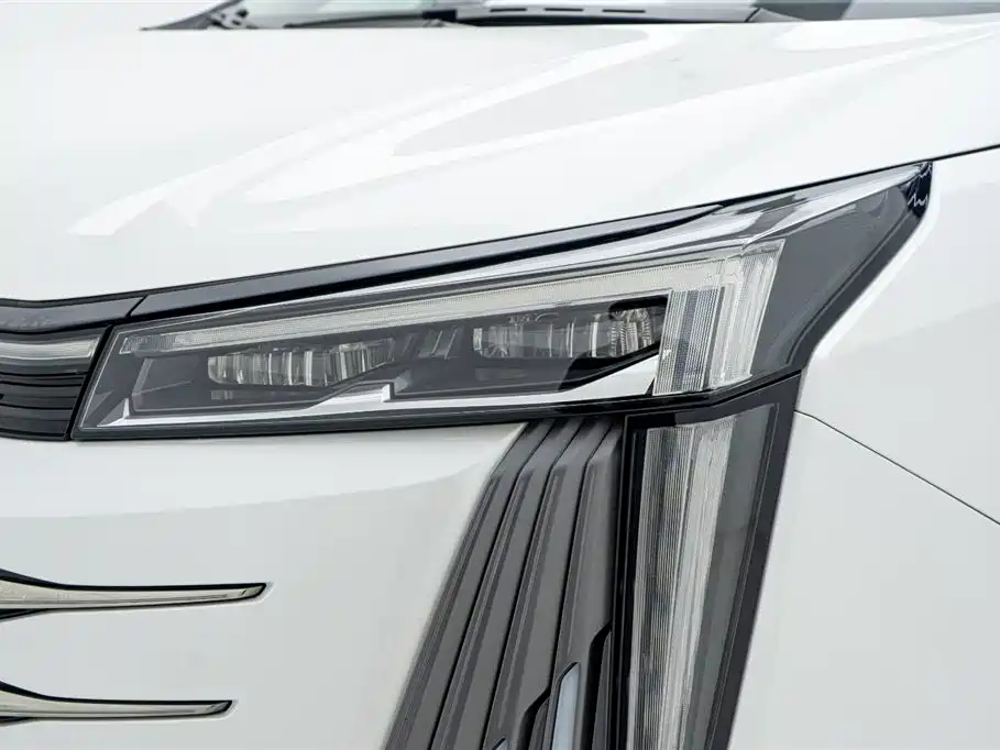 GAC Trumpchi Trumpchi E9 2023 E9 MAX фото 27