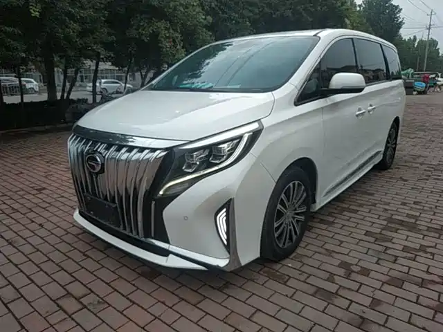 Trumpchi M8 Elegance Series, 390T, Премиум