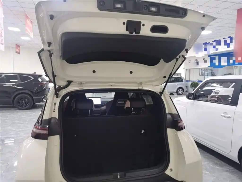 BYD Seagull 2025 305km Vitality фото 15