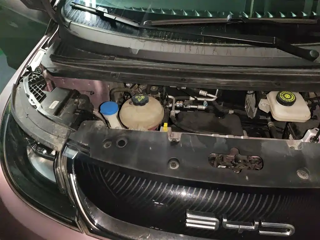 BYD Dolphin 2021 Model 405km Fashion Edition фото 22