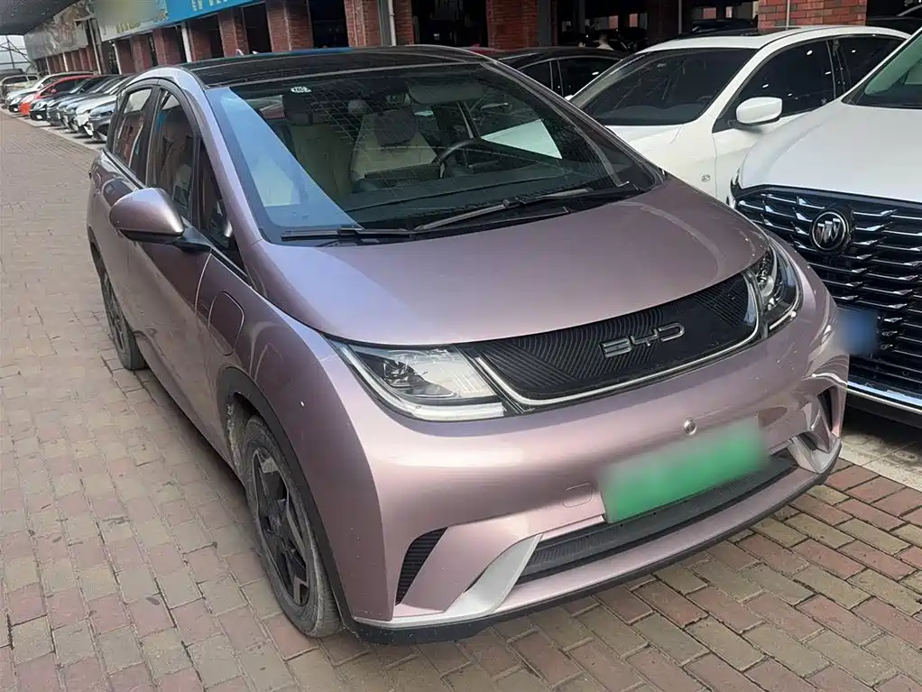 BYD Dolphin 2021 Model 405km Fashion Edition фото 25