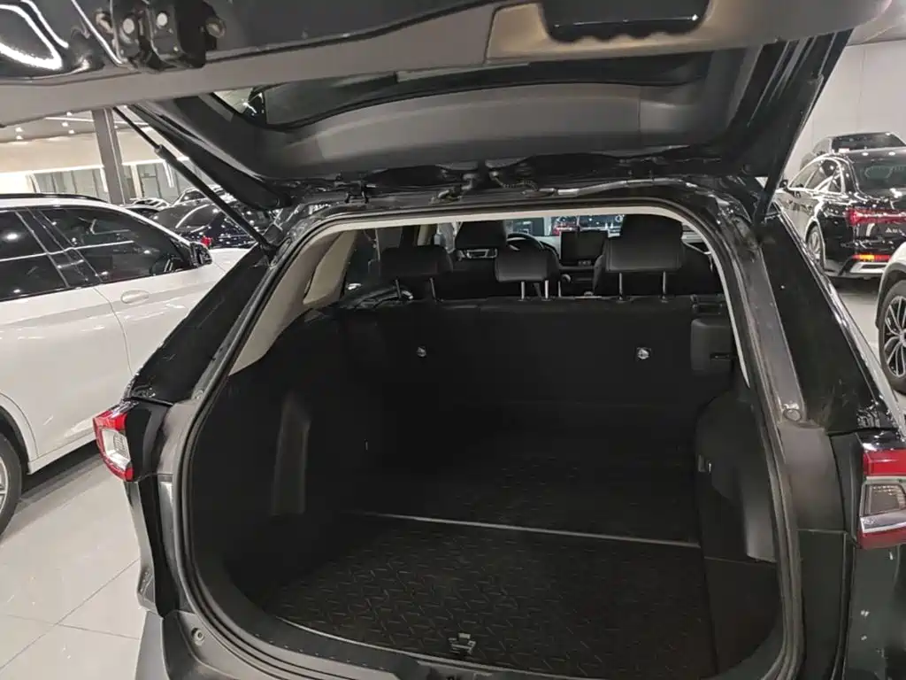 Toyota Wildlander 2020 2020 2.0L CVT 2WD Luxury Edition
