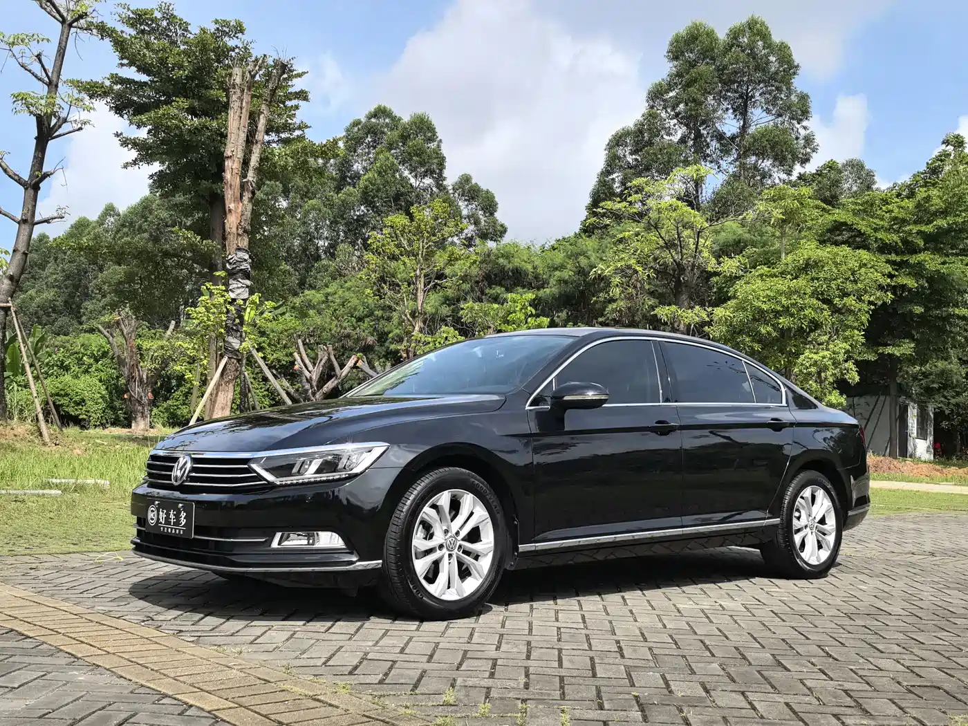 Volkswagen Magotan 2019 330TSI DSG Luxury Class China VI