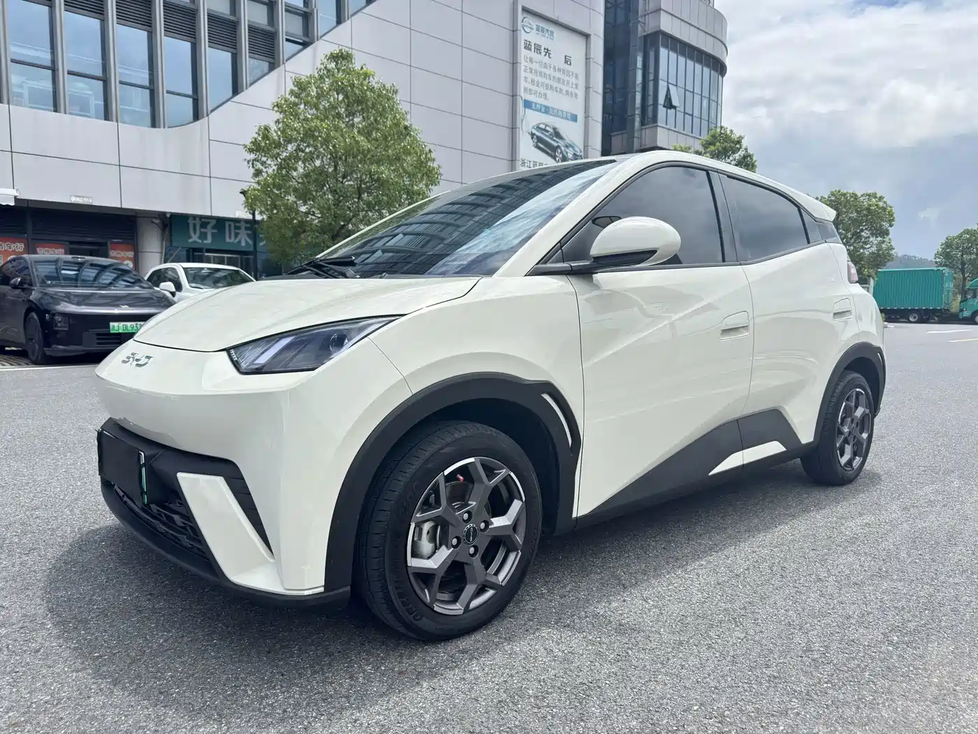 BYD Seagull 2024