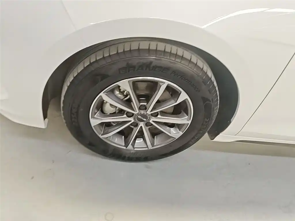 BYD Destroyer 05 2024 Glory Edition DM-i 55KM Luxury фото 23