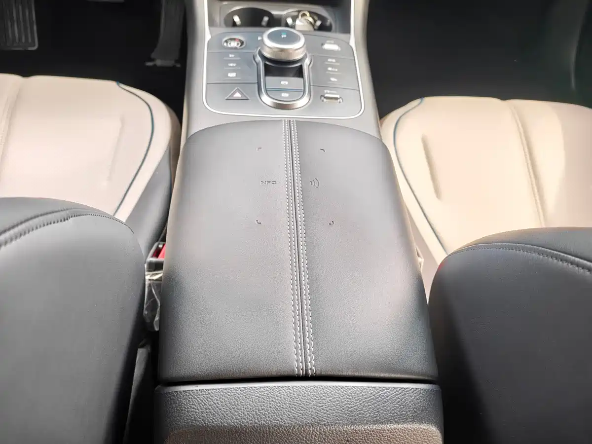 BYD Destroyer 05 2024 Glory Edition DM-i 55KM Luxury фото 18