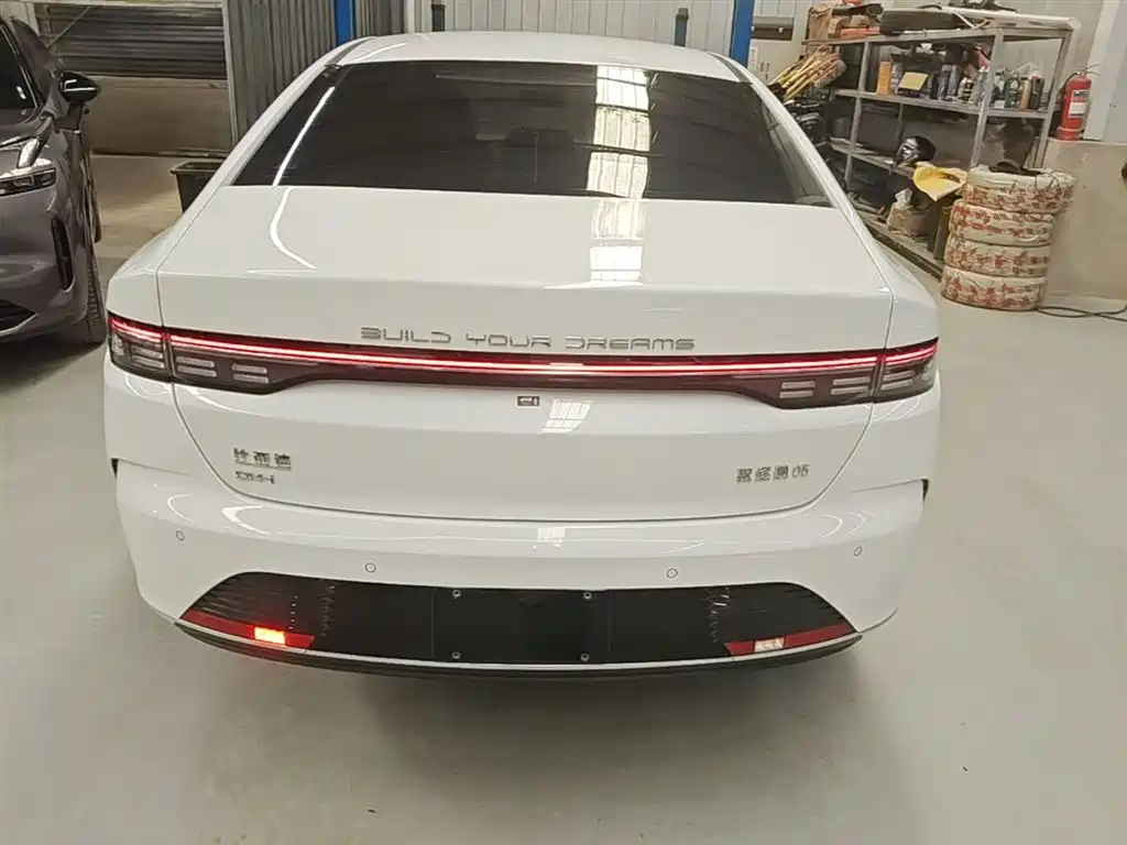 BYD Destroyer 05 2024 Glory Edition DM-i 55KM Luxury фото 6