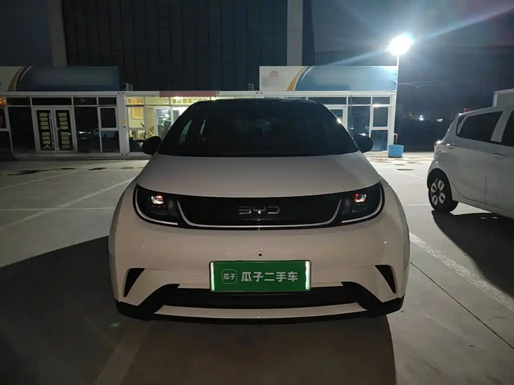 2026 BYD Dolphin