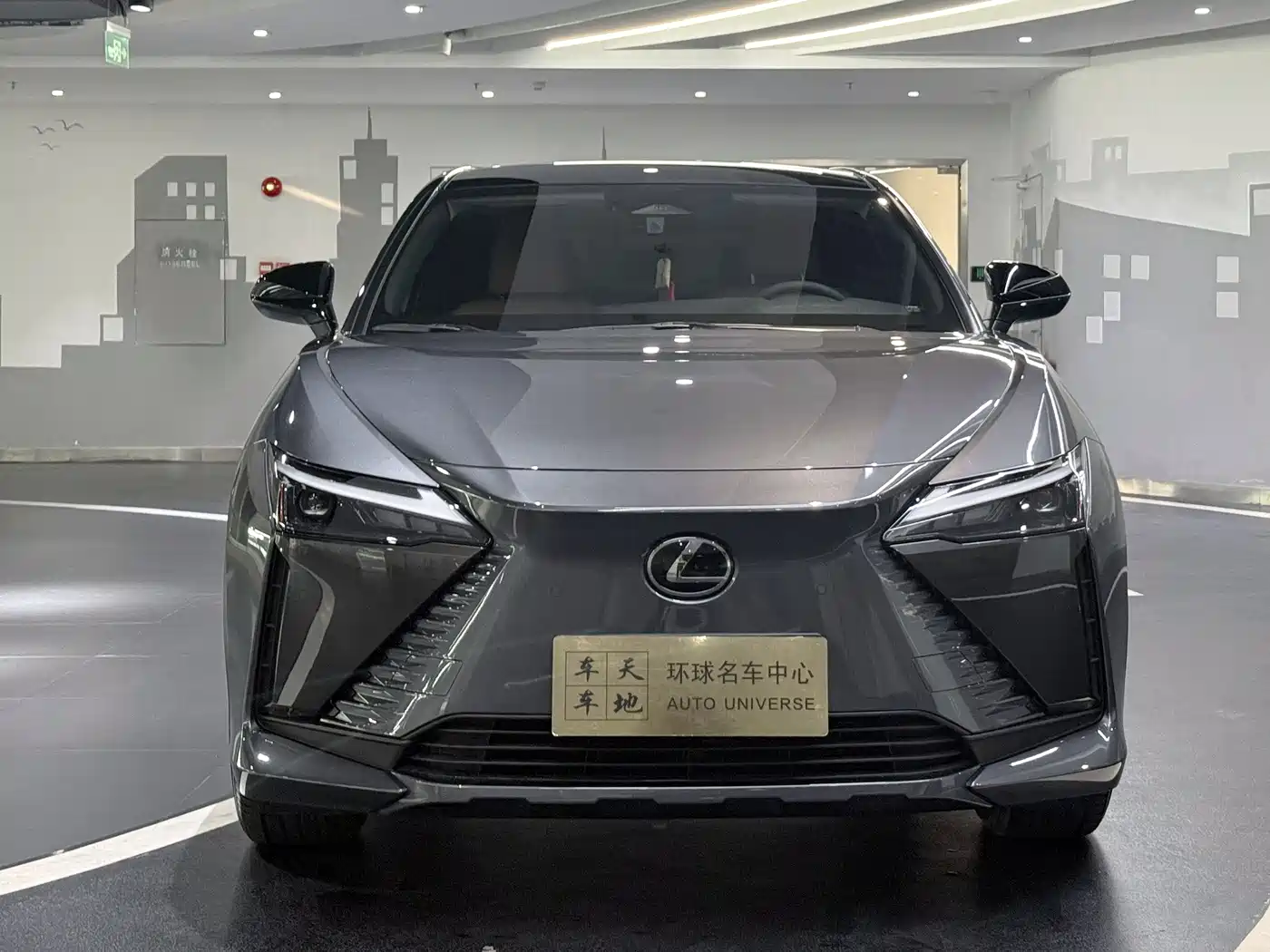 Lexus RZ 2023 450e 4WD Deluxe фото 2