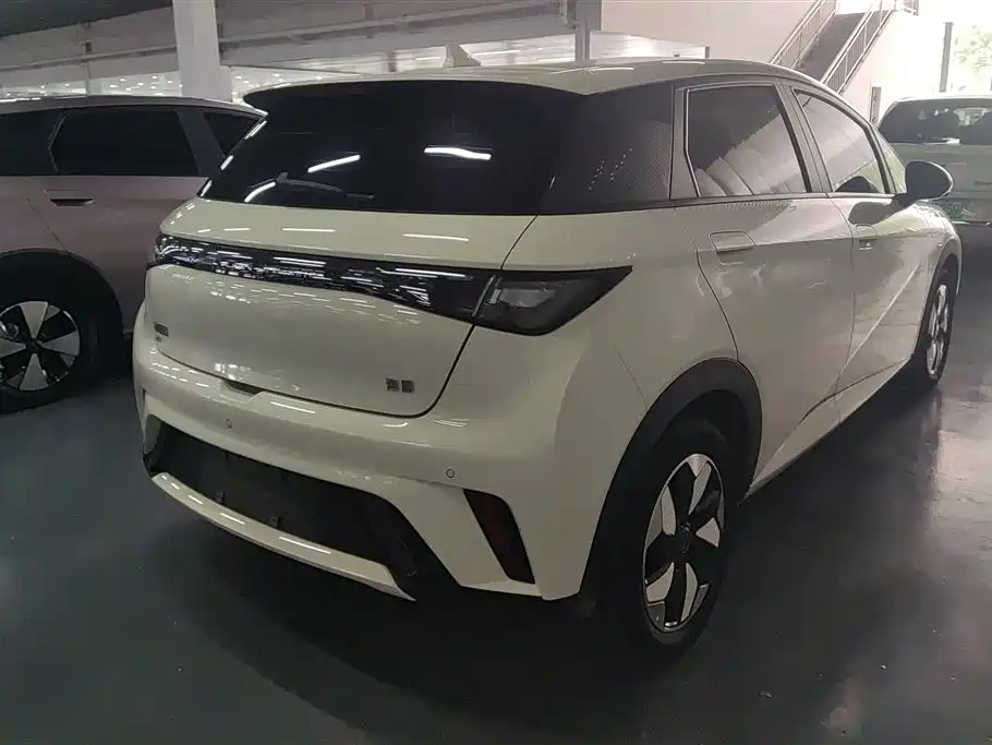 BYD Dolphin 2024 Glory Edition 420km Freedom Edition фото 3