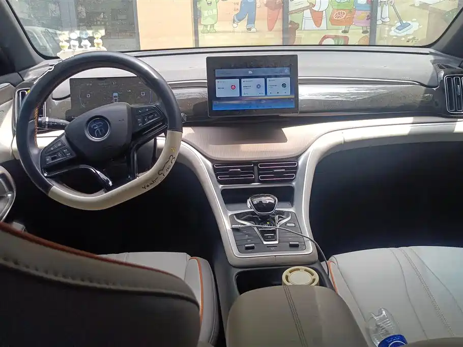BYD Song Pro New Energy 2024 Glory Edition DM-i 71KM Pilot фото 12