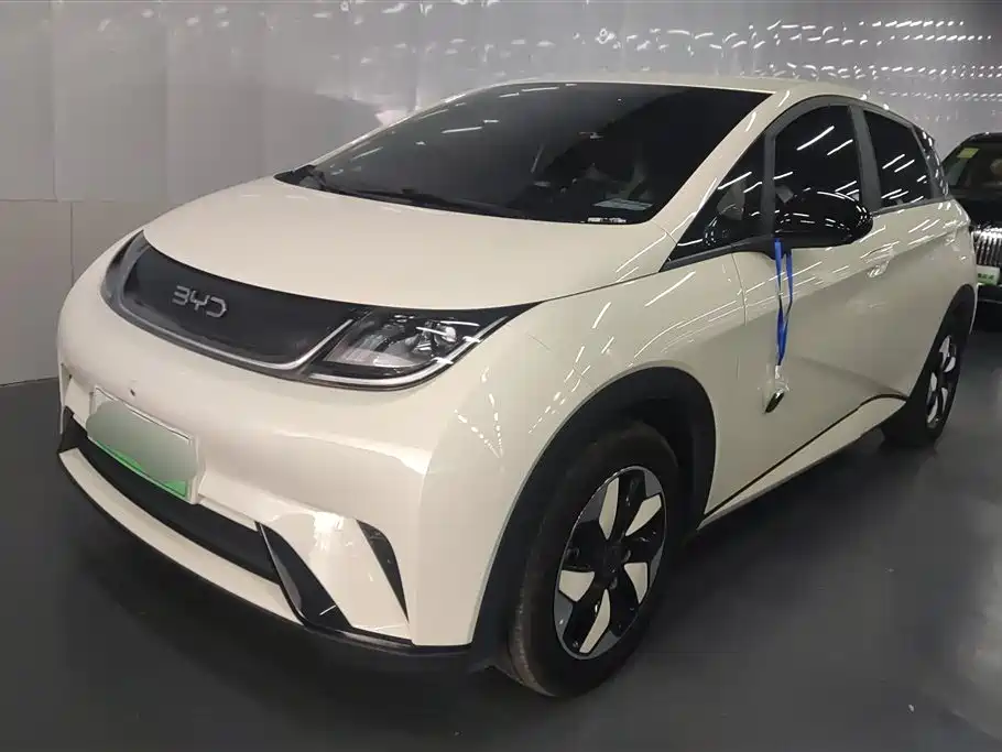 BYD Dolphin 2024 Glory Edition 420km Freedom Edition