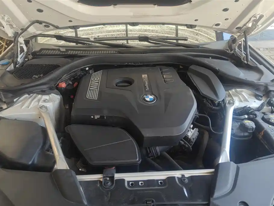 BMW 5 Series 2020 525Li Luxury Package фото 10