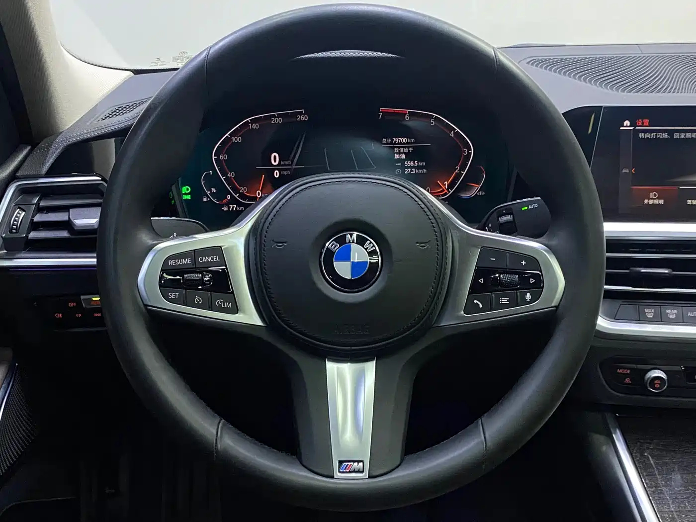 BMW 3 Series 2020 325Li M Sport Package фото 18