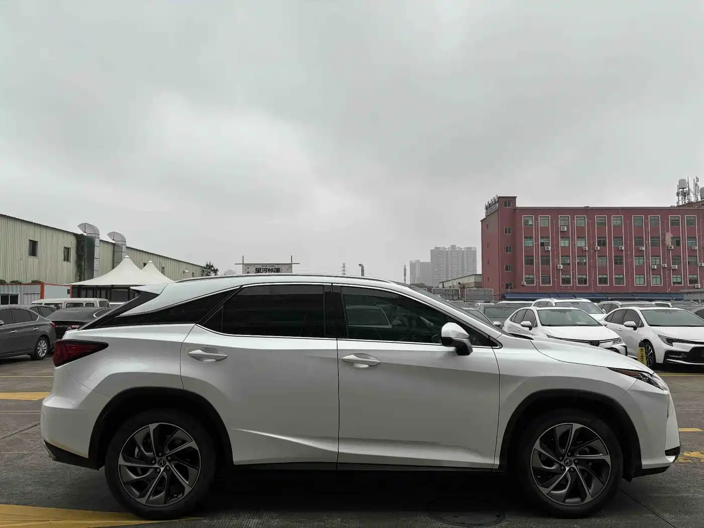 LEXUS RX