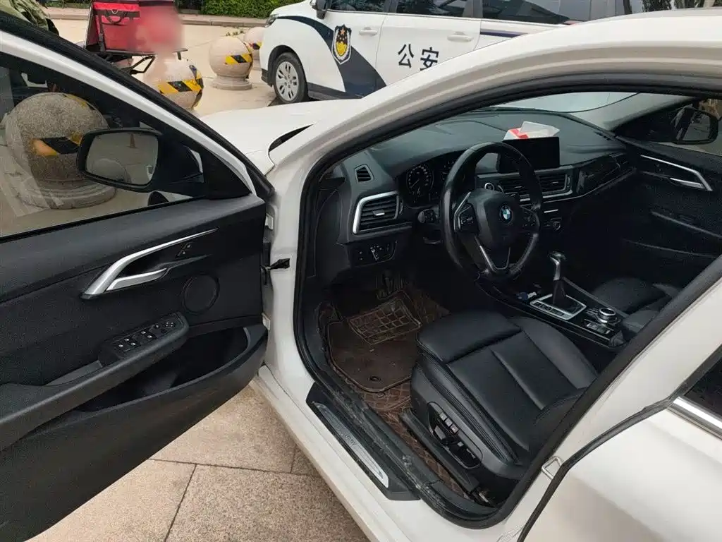 BMW 1 Series 2017 118i Design Package фото 14