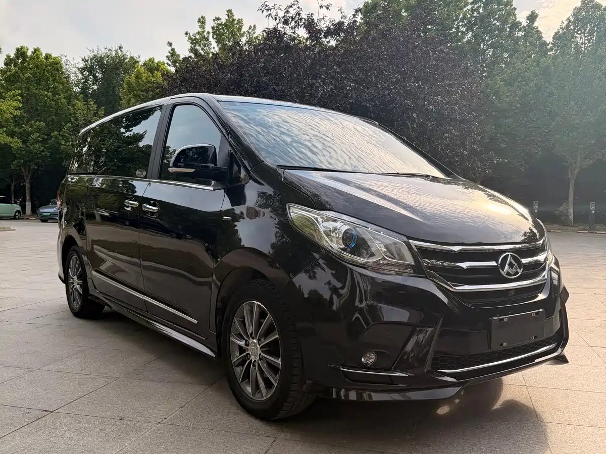 SAIC Maxus Maxus G10 2018 PLUS 2.0T Automatic Luxury Executive Edition фото 8