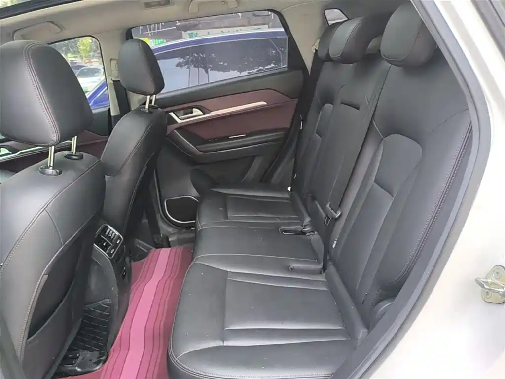 Haval H6 Coupe 2018 Red Label 1.5T Auto 2WD Ultra Luxury фото 17