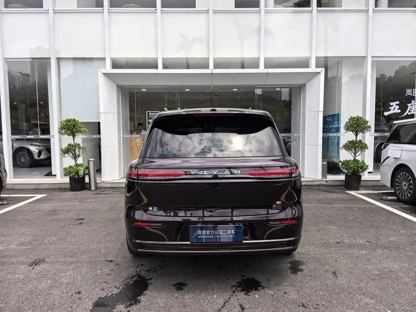 Voyah Auto VOYAH Taisan 2025 2026 Model Base