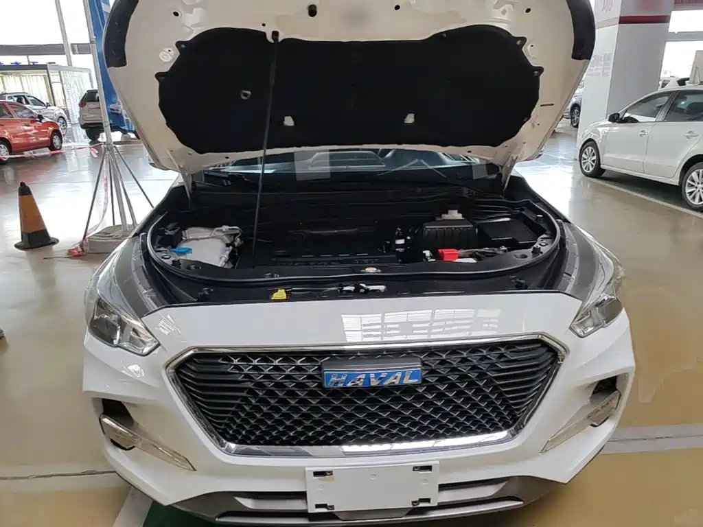 Фото 20 - Haval M6