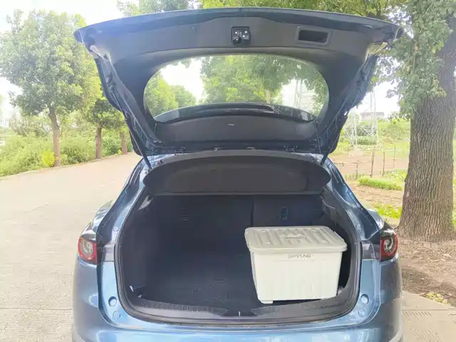 Mazda CX-4 2020 Model 2.5L Auto FWD Skyactiv Driving Pleasure Edition — фото 5