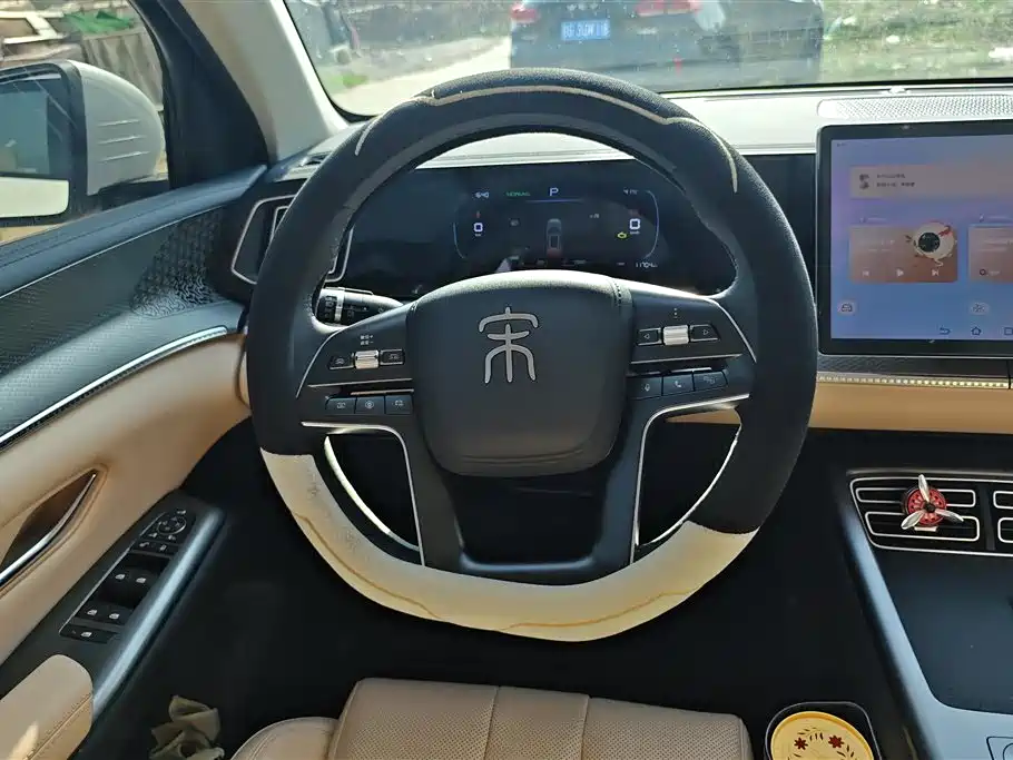 BYD Song Pro New Energy 2025 2nd Gen DM-i 75KM Surpass фото 15