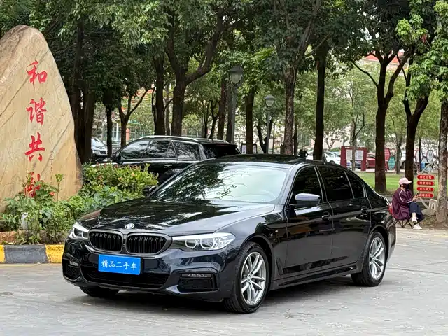BMW 5 SERIES