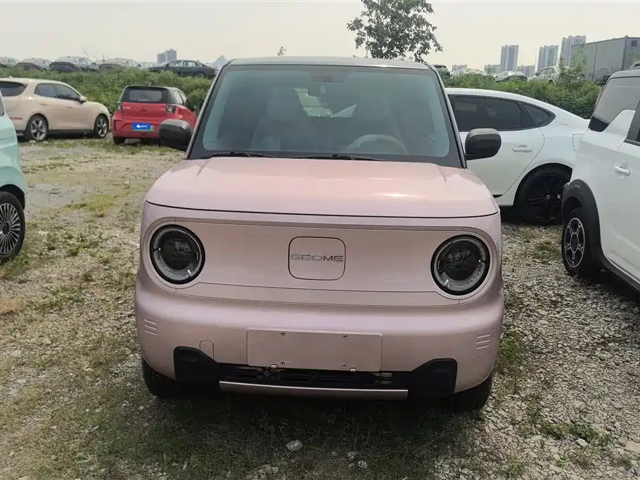 Geely Galaxy Panda 2023 Panda Mini 200km Lively Bear фото 2