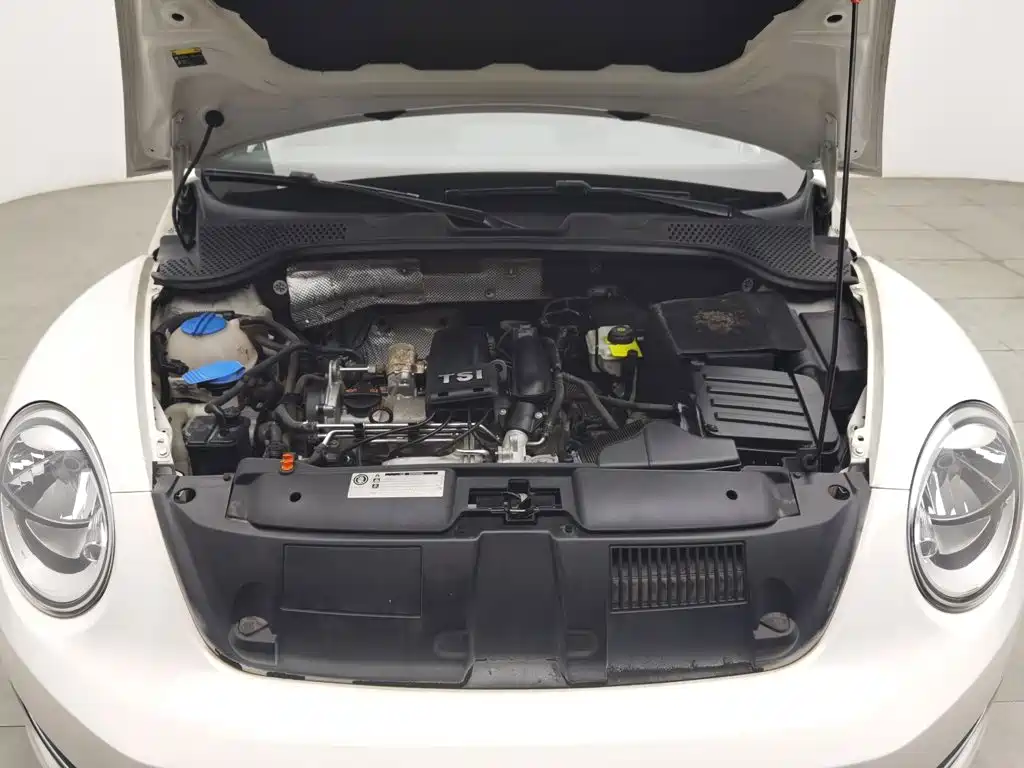 Photo 6 - Volkswagen Beetle