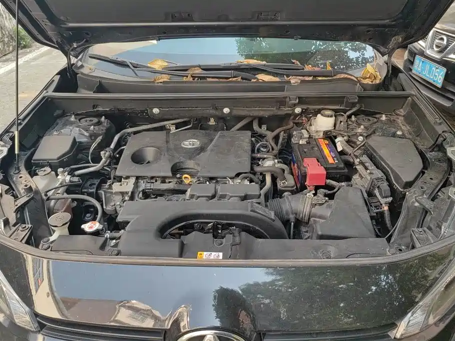 Toyota Wildlander 2023 2.0L CVT FWD LE фото 10