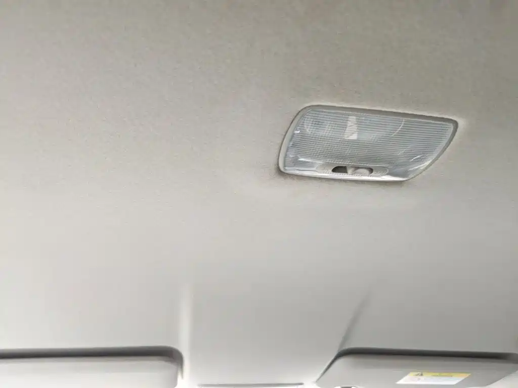 Honda ENVIX 2019 2019 180TURBO Manual Comfort China V