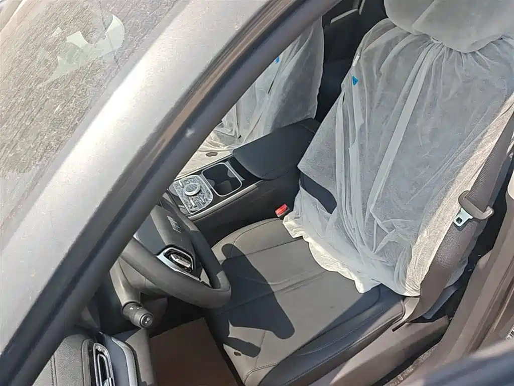 Geely Galaxy Galaxy Stellar 6 2025 Model 60km Free Edition фото 15