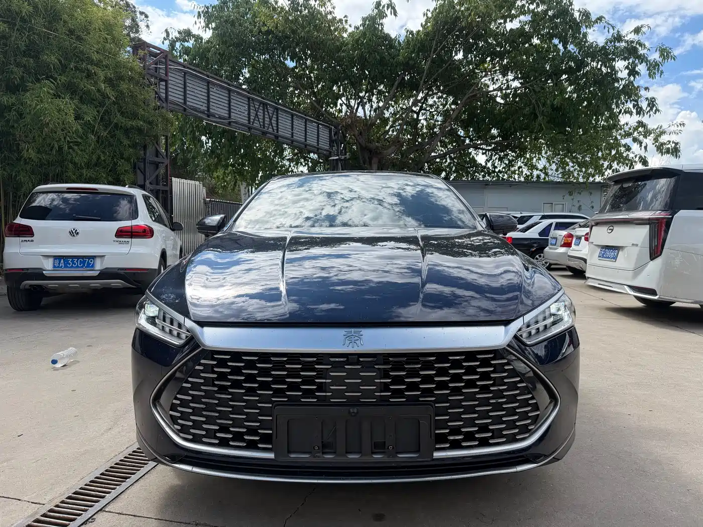 BYD Qin PLUS 2023 Champion Edition DM-i 120KM Leading Type фото 2