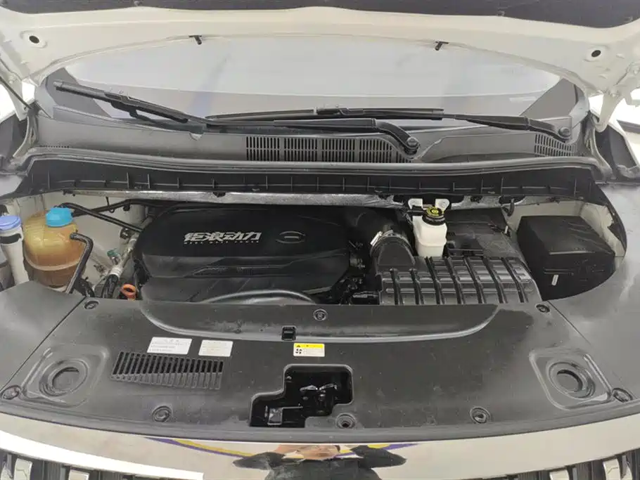 GAC Trumpchi Trumpchi M8 2021 Master Series 390T Prestige Edition фото 10