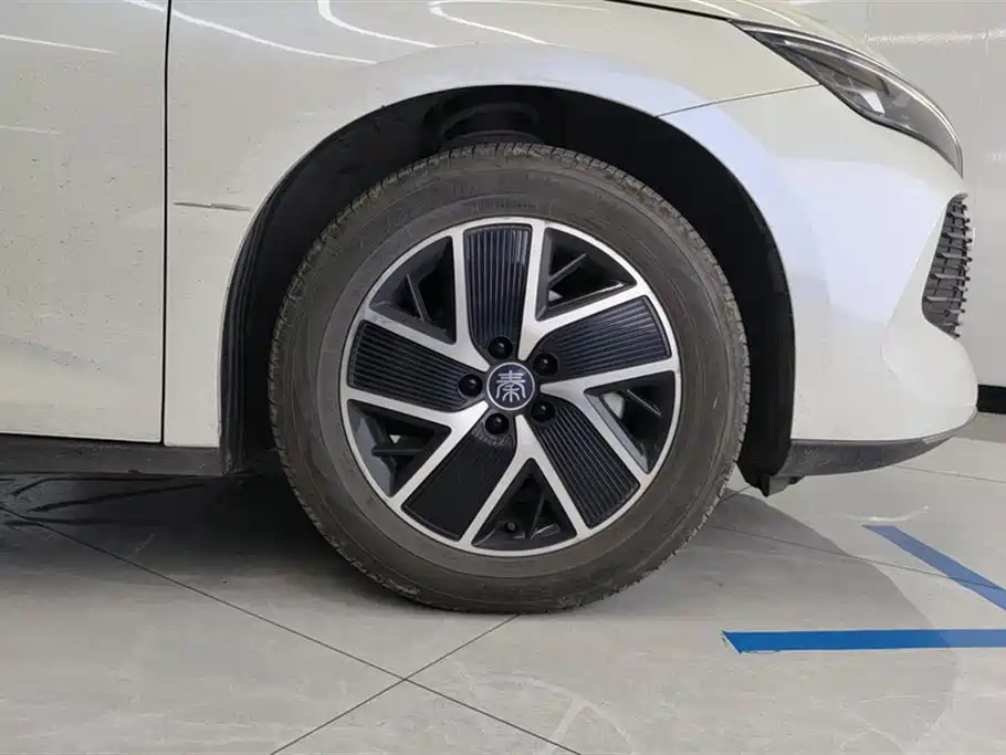 BYD Qin L 2024 DM-i 120KM Superior Edition фото 6